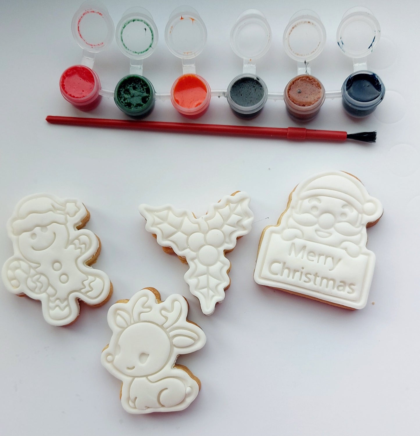 Paint your own Christmas cookies